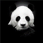 OOPanda