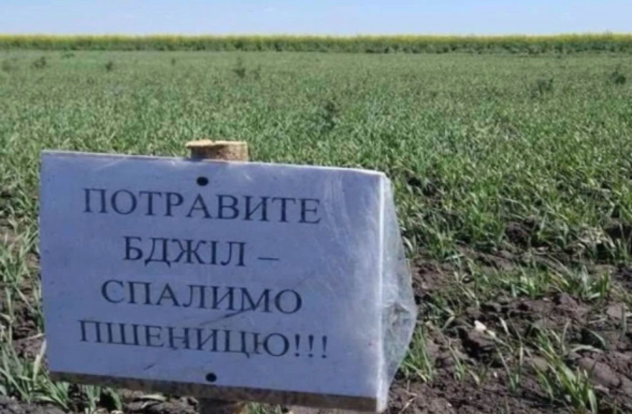 https://replace.org.ua/uploads/images/9801/e6dacfc159aae50ddd5ea3c35002e24d.jpeg
